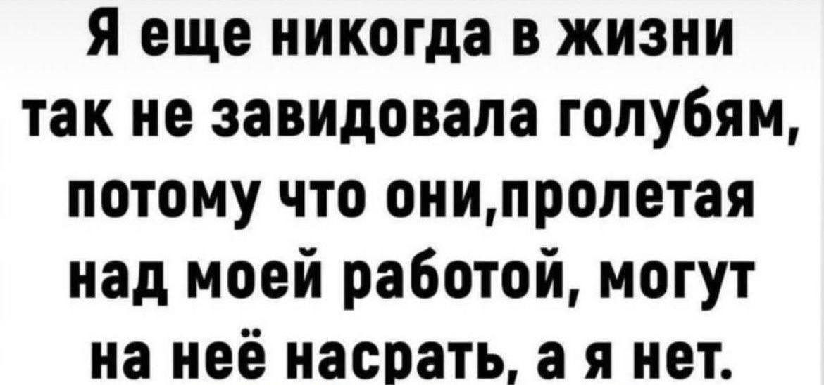 я еще никогда в жизни так не завидовала голубям потому что онипролетая над моей работой могут на неё насрать а я нет