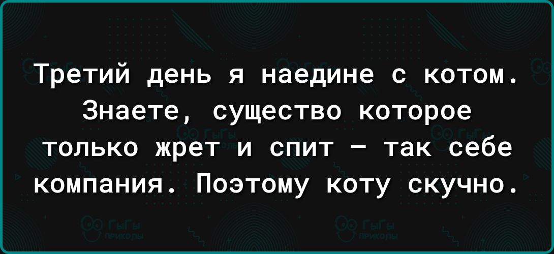 Третий день я наедине с котом Знаете существо которое только жрет и спит так себе компания Поэтому коту скучно