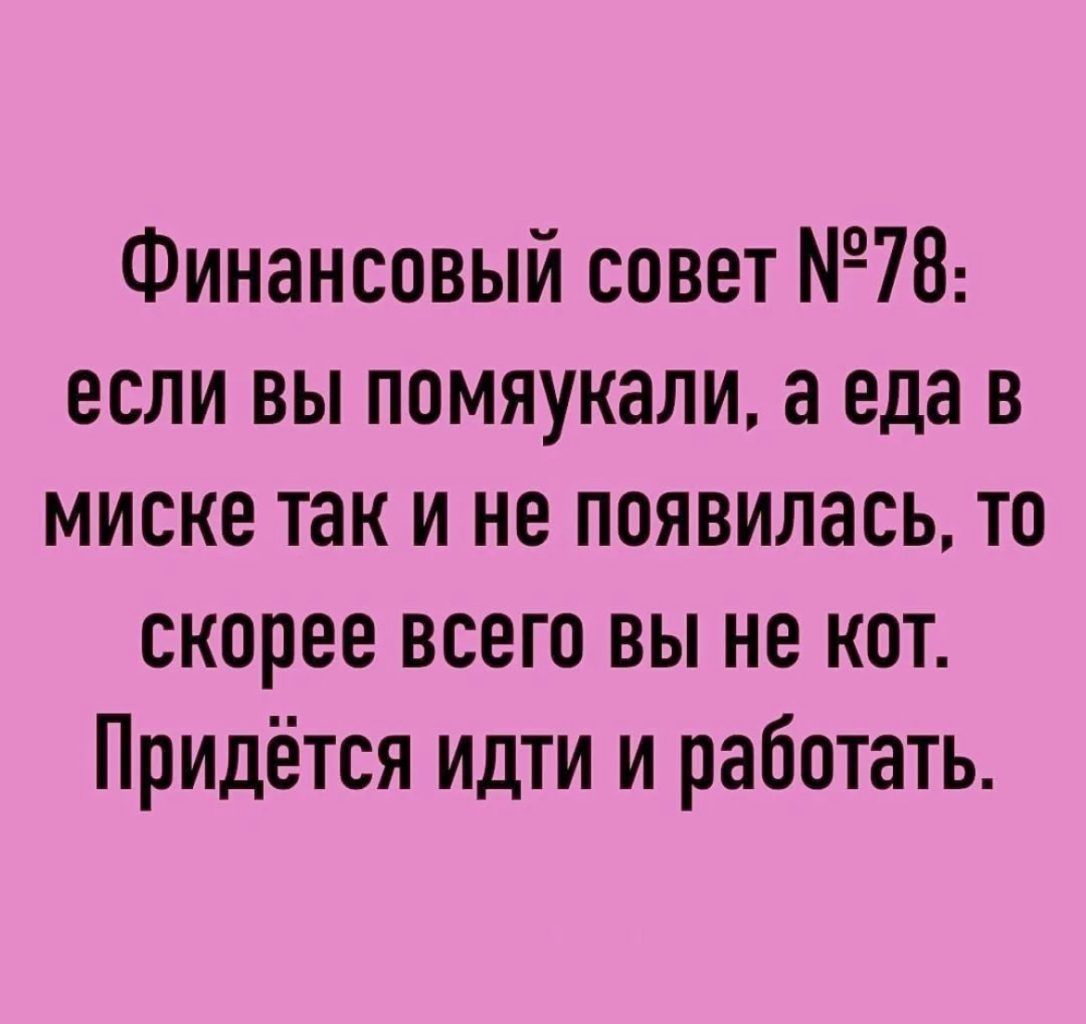Финансовый совет 78 если вы помяукали а еда в миске так и не появилась то скорее всего вы не кот Придётся идти и работать