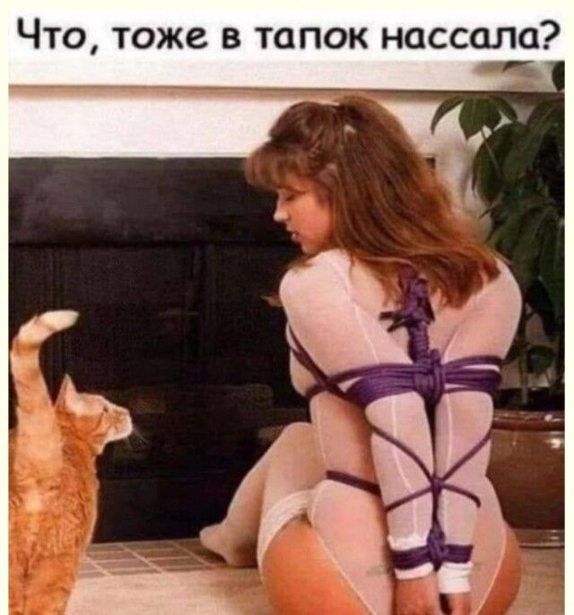 Что тоже в тапок насссла