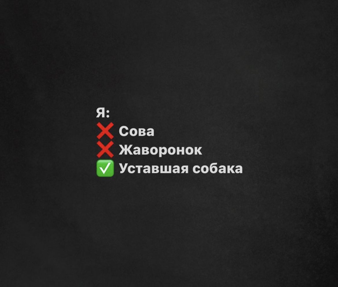 Я Х сова х Жаворонок Уставшая собака