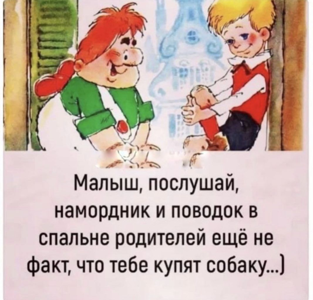 Малыш послушай намордник и поводок в спальне родителей ещё не факт что тебе купят собаку1