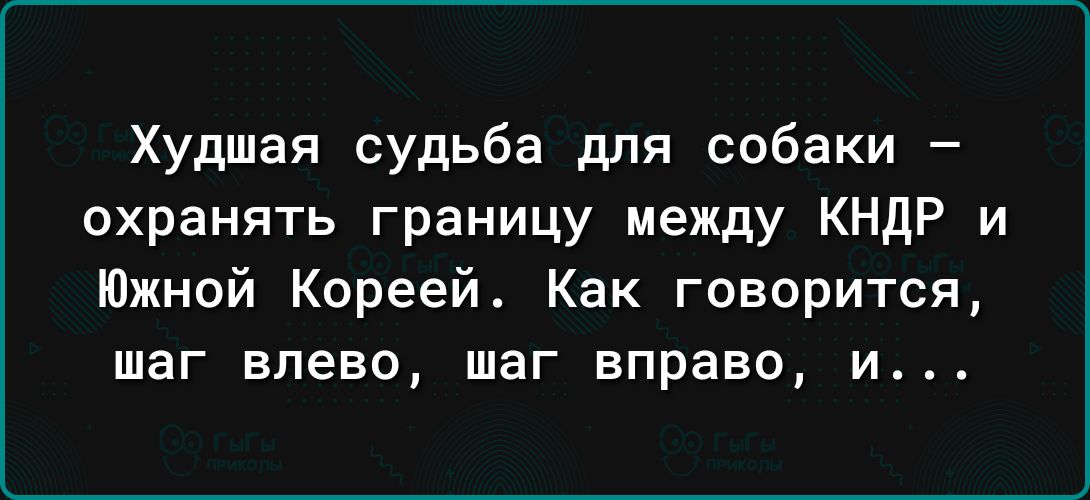 Худшая судьба для собаки охранять границу между КНДР и Южной Кореей Как говорится шаг влево шаг вправо и