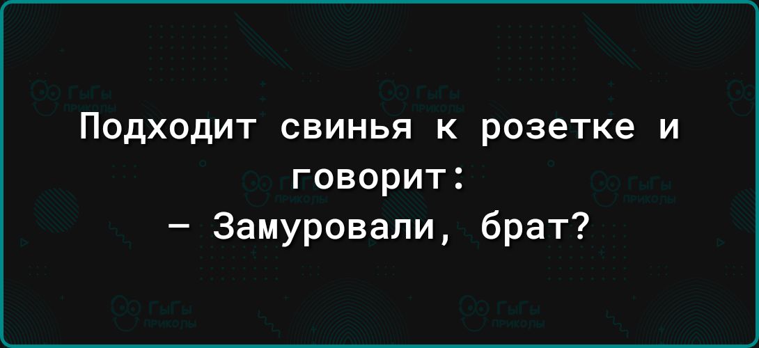 ПОДХОДИТ СВИНЬЯ К розетке И говорит Замуровапи брат