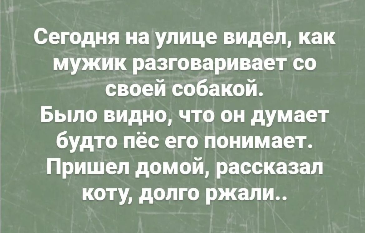 Сегодня на улице видел как мужик разговаривает со своей собакой Было видно что он думает будто пёс его понимает Пришел домой рассказал коту долго ржали