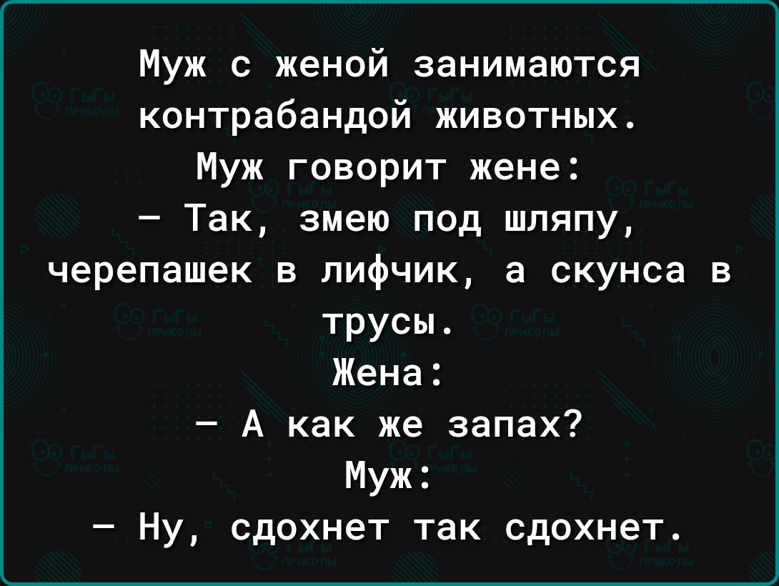Муж с женой занимаются контрабандой животных Муж говорит жене Так змею под шляпу черепашек в лифчик а скунса в трусы Жена А как же запах Ну сдохнет так сдохнет