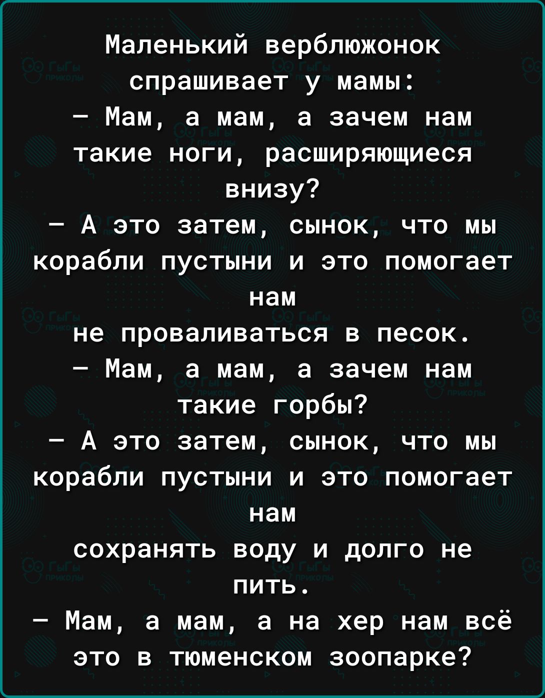 Маленький верблюжонок спрашивает у мамы Мам а мам а зачем нам такие ноги расширяющиеся внизу А это затем сынок что мы корабли пустыни и это помогает нам не проваливаться в песок Мам а мам а зачем нам такие гербы А это затем сынок что мы корабли пустыни и это помогает нам сохранять воду и долго не пить Мам а мам а на хер нам всё это в тюменском зоопарке