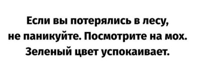 Если вы потерялись в лесу не паиикуйте Посмотрите на мох Зеленый цвет успокаивает