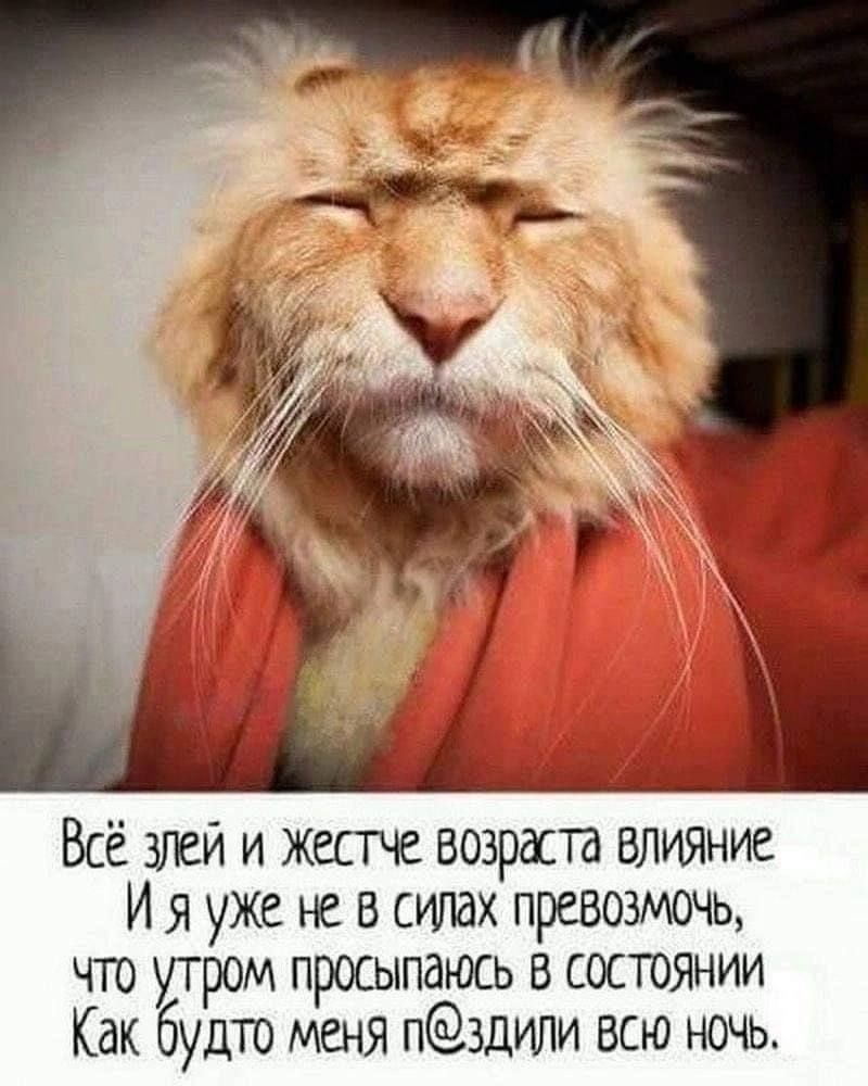 Всё злеи и жестче возраста влияние И я уже не в силах превозмочь мгго утром просыпаюсь в состоянии Как будт меня НЗДИЛИ всю ночь