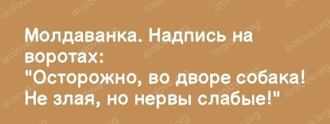 Молдавии Надпись на воротцх Осторожно во дворе собака Не зли но нервы слабые