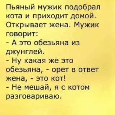 Пьяный мужик подобрал кота и приходит домой Открывает жена Мужик говорит А это обезьяна из джунглей Ну какая же это обезьяна орет в ответ жена это кот Не мешай я с котом разговариваю