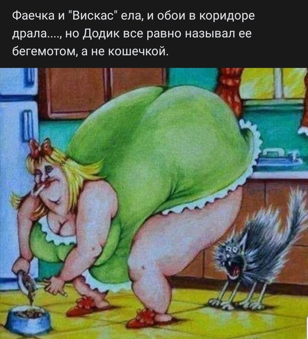 Фаечка и Вискас еда и обои в коридоре драпа Додик все равно называл ее бегемотом а не кошечкой