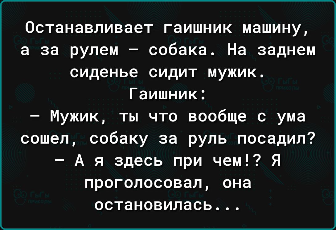 Останавливает гаишник машину а за рулем собака На заднем сиденье сидит  мужик Гаишник Мужик ты что вообще с ума сошел собаку за руль посадил А я  здесь при чем Я проголосовал она