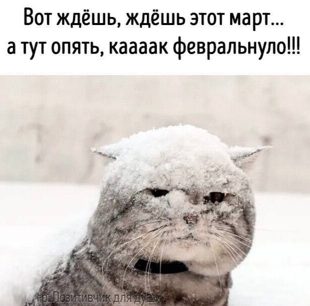 Вот ждёшь ждёшь этот март а тут опять каааак февральнупо