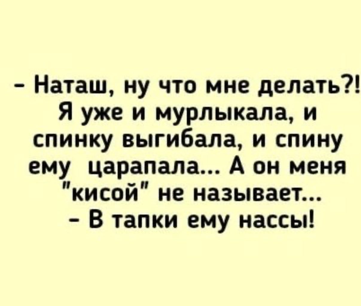 Наташ ну что мне делать Я уже и мурлыкала и спинку выгибала и спину ему царапала А он меня кисой не называет В тапки ему массы