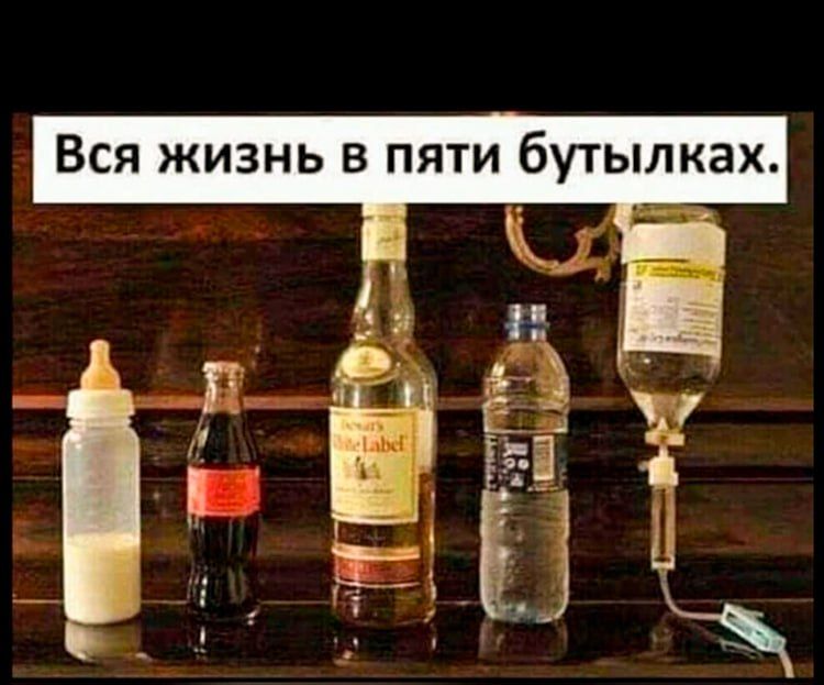 Вся жизнь в пяти бутылках