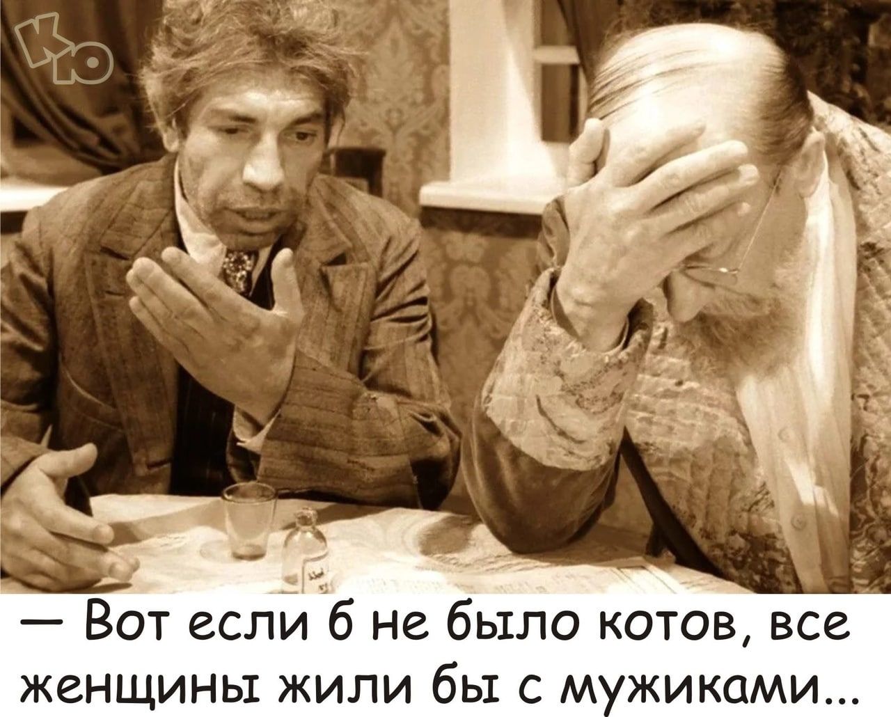 Вот если б не было котов все женщины жили бы с м жиками