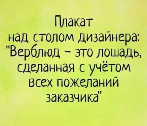 Плакат над столом дизайнера Верблюд это лошадь сделанная с учётом всех пожелании заказчика