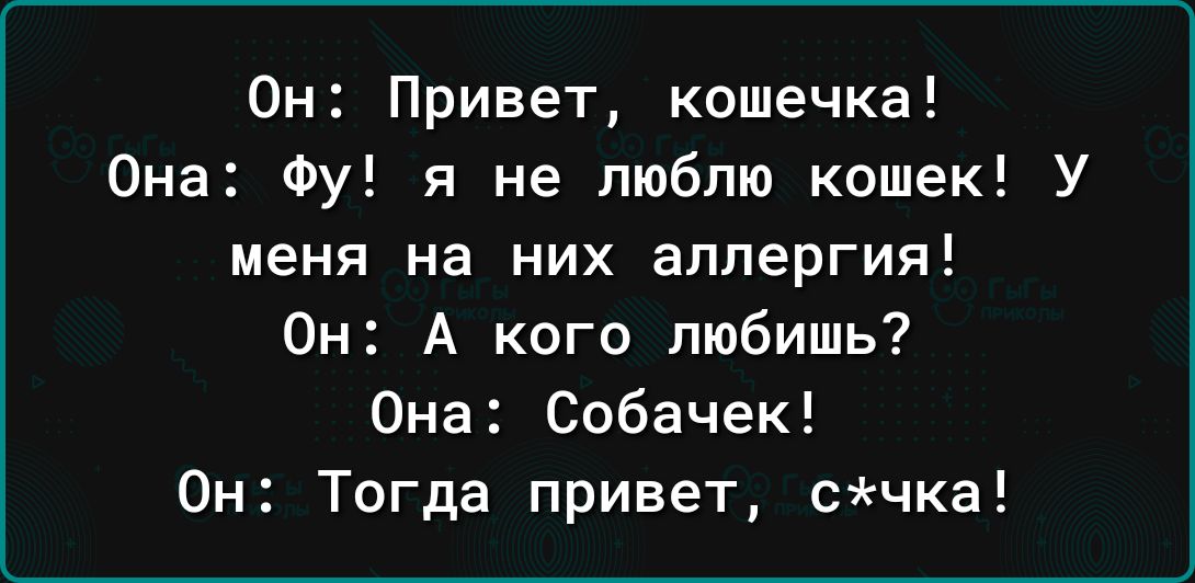 Он Привет кошечка Она Фу я не люблю кошек У меня на них аллергия Он А кого любишь Она Собачек Он Тогда привет счка