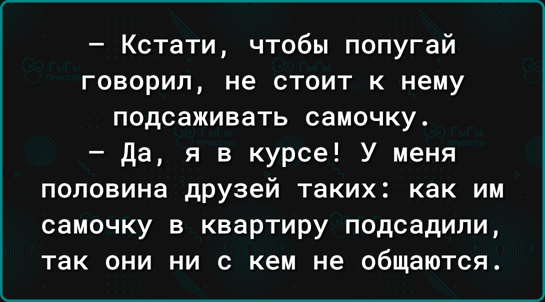 Кстати чтобы попугай говорил не стоит к нему подсаживать самочку да я в курсе У меня половина дрУзей таких как им самочку в квартиру подсадили так они ни с кем не общаются