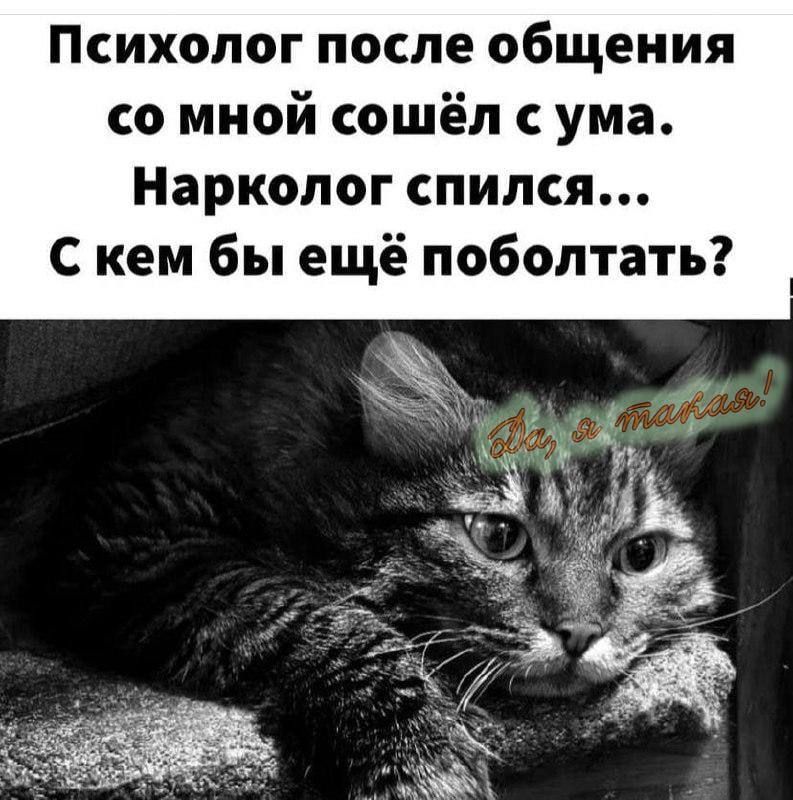 Психолог после общения со мной сошёл с ума Нарколог спился С кем бы ещё поболтать