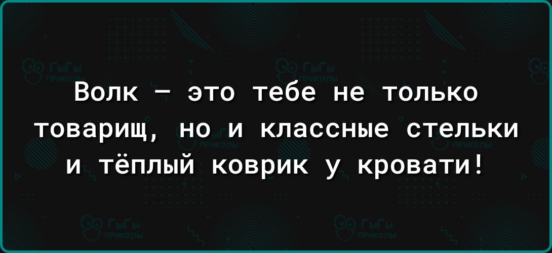 ВОЛК _ ЗТО тебе не ТОЛЬКО товарищ но и классные стельки и тёплый коврик у кровати