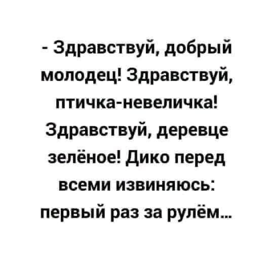 Здравствуй добрый молодец Здравствуй птичка невеличка Здравствуй деревце зелёное дико перед всеми извиняюсь первый раз за рулём