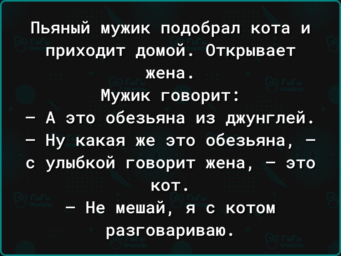 Пьяный мужик подобрал кота и приходит домой Открывает жена Мужик говорит А это обезьяна из джунглей Ну какая же это обезьяна с улыбкой говорит жена это кот Не мешай я с котом разговариваю