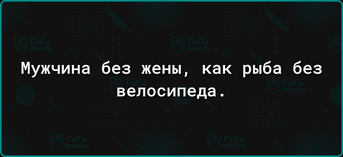 Мужчина без жены как рыба без велосипеда