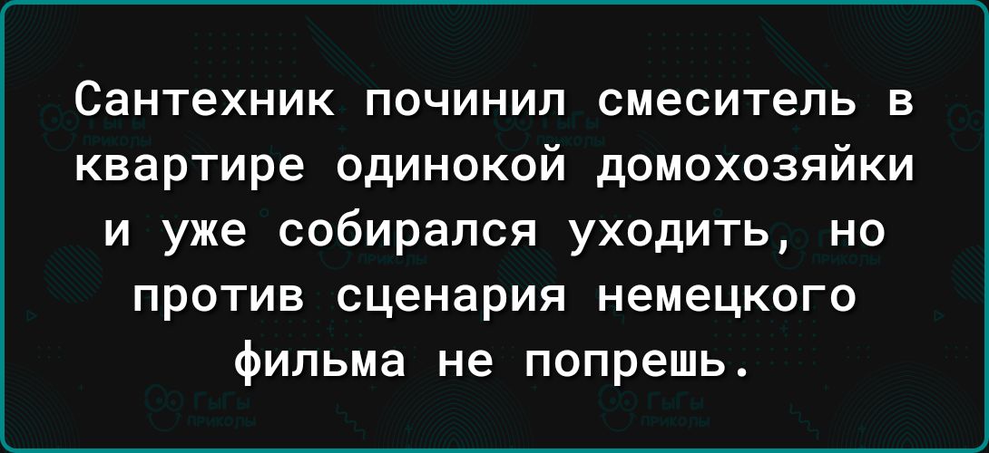 Сантехник ПОЧИНИП смеситель Б квартире одинокой домохозяйки и уже собирался уходить но против сценария немецкого фильма не попрешь