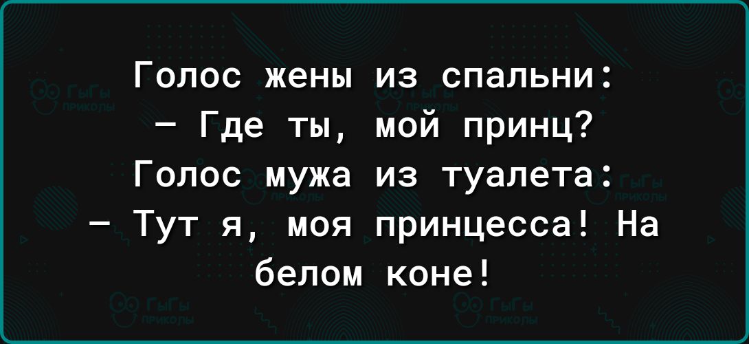 Голос жены из спальни Где ты мой принц Голос мужа из туалета Тут я под принцесса На белом коне