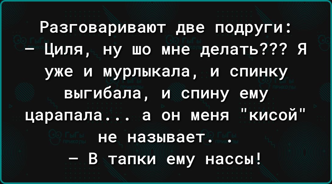 Разговаривают две подруги Циля ну шо мне делать Я уже и мурлыкала и спинку выгибапа и спину ему царапапа а он меня кисой не называет В тапки ему нассы