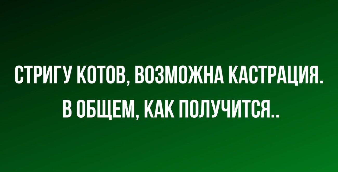 ПТРИГУ КОТОВ ВОЗМПЖНА КАСТРАЦИЯ В ОБЩЕМ КАК ППЛУЧИТПЯ