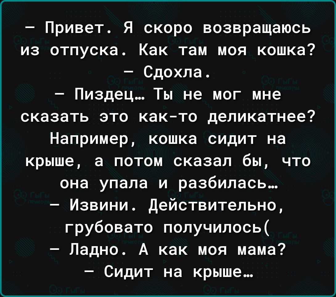 Привет Я скоро возвращаюсь из отпуска Как там моя кошка Сдохла Пиздец Ты не мог мне сказать это както деликатнее Например кошка сидит на крыше а потом сказал бы что она упала и разбилась Извини действительно грубовато получилось Ладно А как моя мама Сидит на крыше