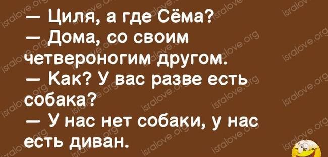 Циля где Сёма дома со своим четвероногим другом Как У вас разве есть собака У нас нет собаки у нас есть диван