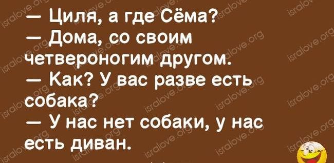 Циля где Сёма дома со своим четвероногим другом Как У вас разве есть собака У нас нет собаки у нас есть диван
