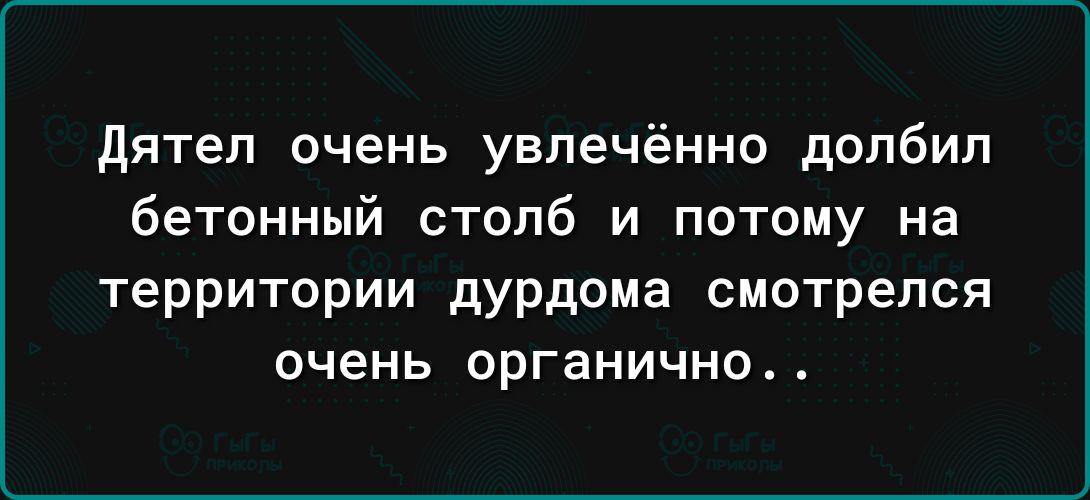 Дятел очень увлечённо долбил бетонный столб и потому на территории дурдома смотрелся очень органично