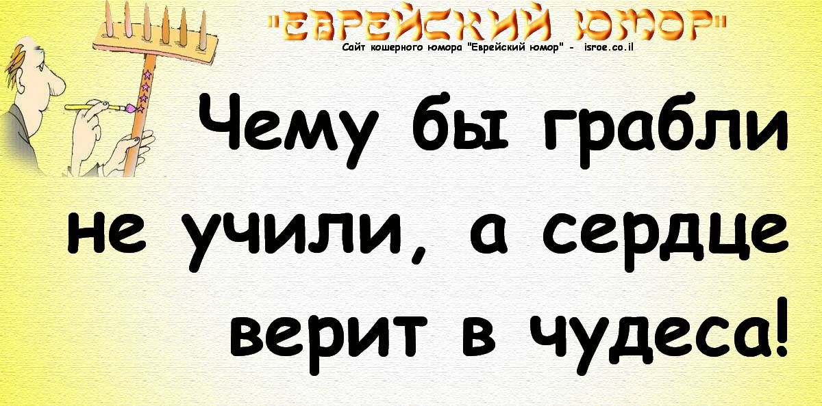 1 мы Ёжъи Чему бы грабли не учили сердце верит в чудеса і