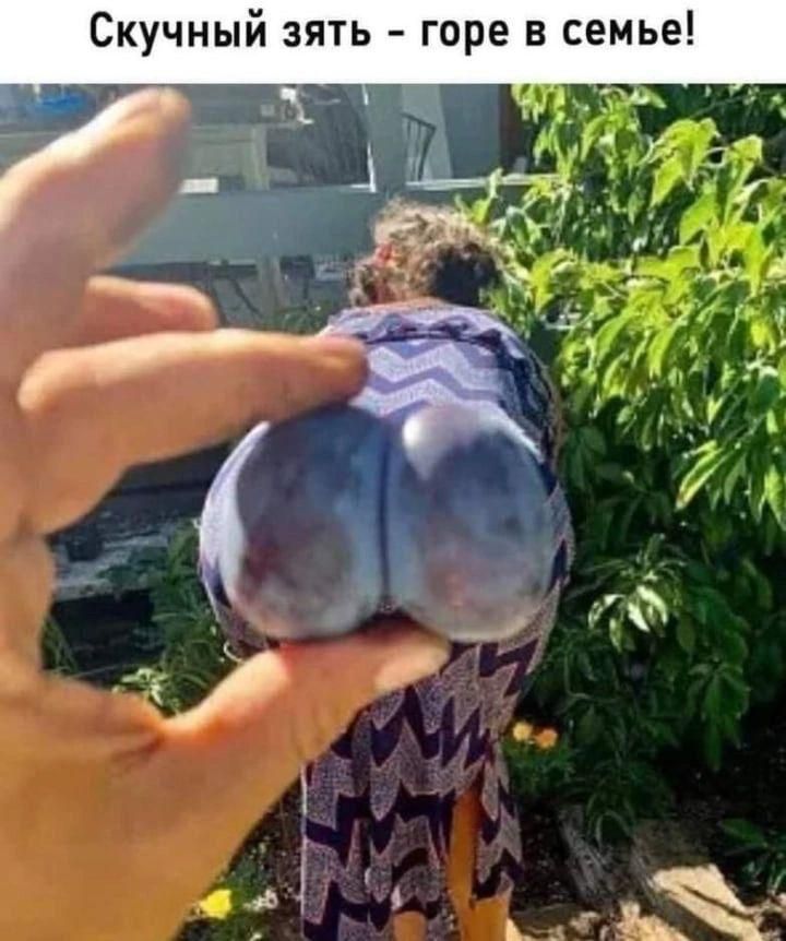 Скучный зять горе в семье