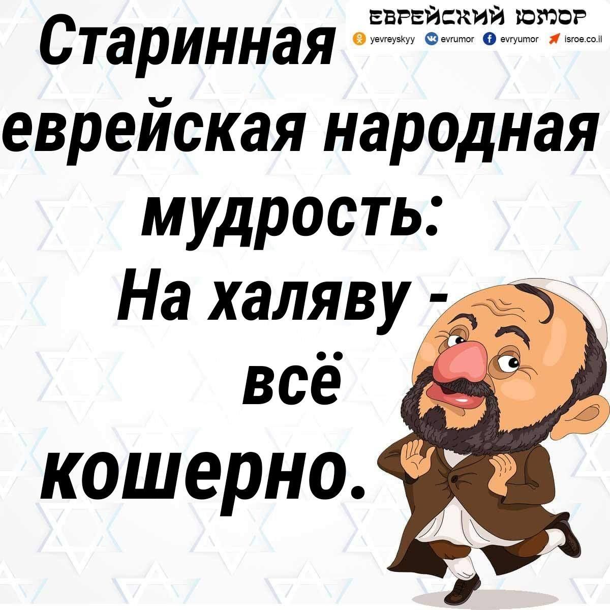 ввжиский кама Старинная еврейская народная мудрость На халяву всё кошерно