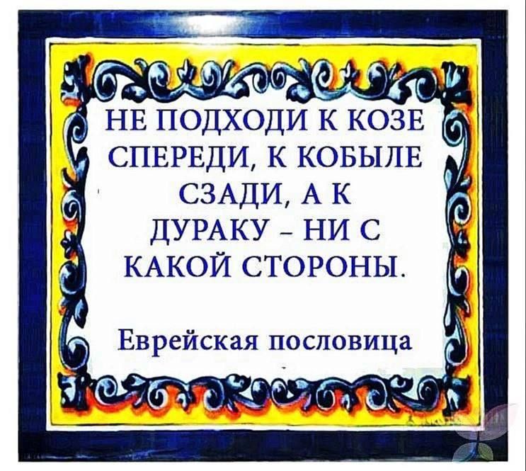 СЗАДИ А К ДУРАКУ НИ С КАКОЙ СТОРОНЫ