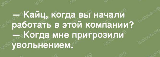 Кайц когда вы начали работать в этой компании Когда мне пригрозили увольнением