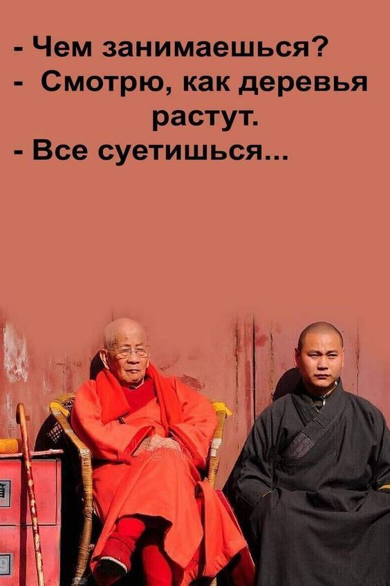 Чем занимаешься Смотрю как деревья растут Все суетишься