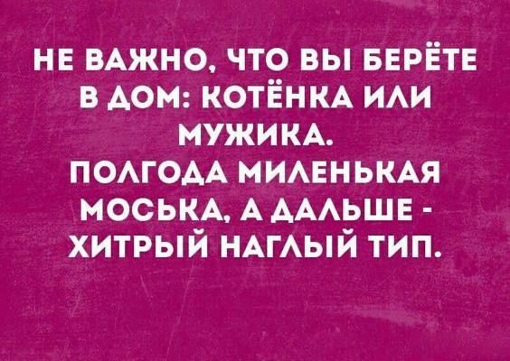 НЕ ВАЖНО что вы БЕРЁТЕ в дом КОТЁНКА ИАИ МУЖИКА ПОАГОАА минными моськм А АААЬЩЕ хитрый НАГАЫЙ тип