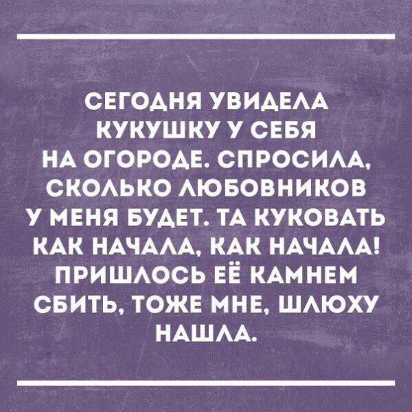 СЕГОДНЯ УВИАЕАА КУКУШКУ У СЕБЯ НА ОГОРОАЕ СПРОСИАА СКОАЬКО АЮБОВНИКОВ У МЕНЯ БУАЕТ ТА КУКОВАТЬ КАК НАЧААА КАК НАЧААА ПРИШАОСЬ ЕЁ КАМНЕМ СБИТЬ ТОЖЕ МНЕ ШАЮХУ НАШАА