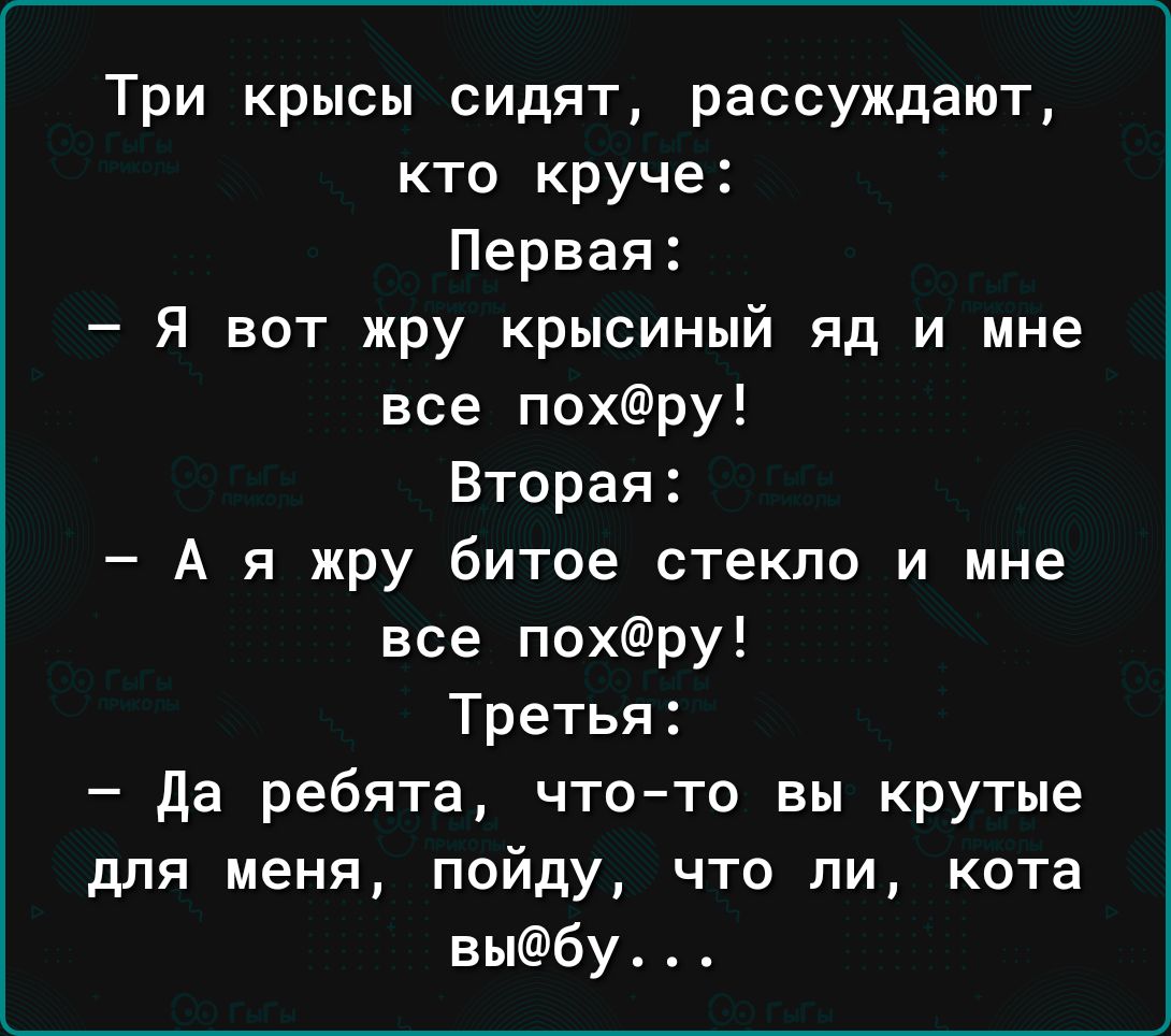 Три крысы сидят рассуждают кто круче Первая Я вот жру крысиный яд и мне все похру Вторая А я жру битое стекло и мне все похру Третья да ребята чтото вы крутые для меня пойду что ли кота выбу
