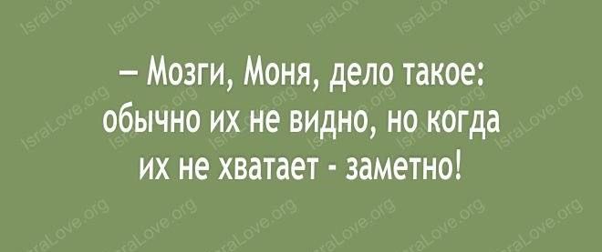 Мозги Моня дело такое обычно их не видно но когда их не хватает заметно