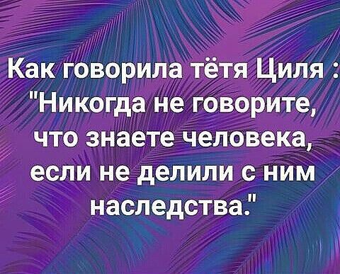 Как Говорила тётя Циля Никогда не грворите что знаете человека 7 если не делили с ним наследства У