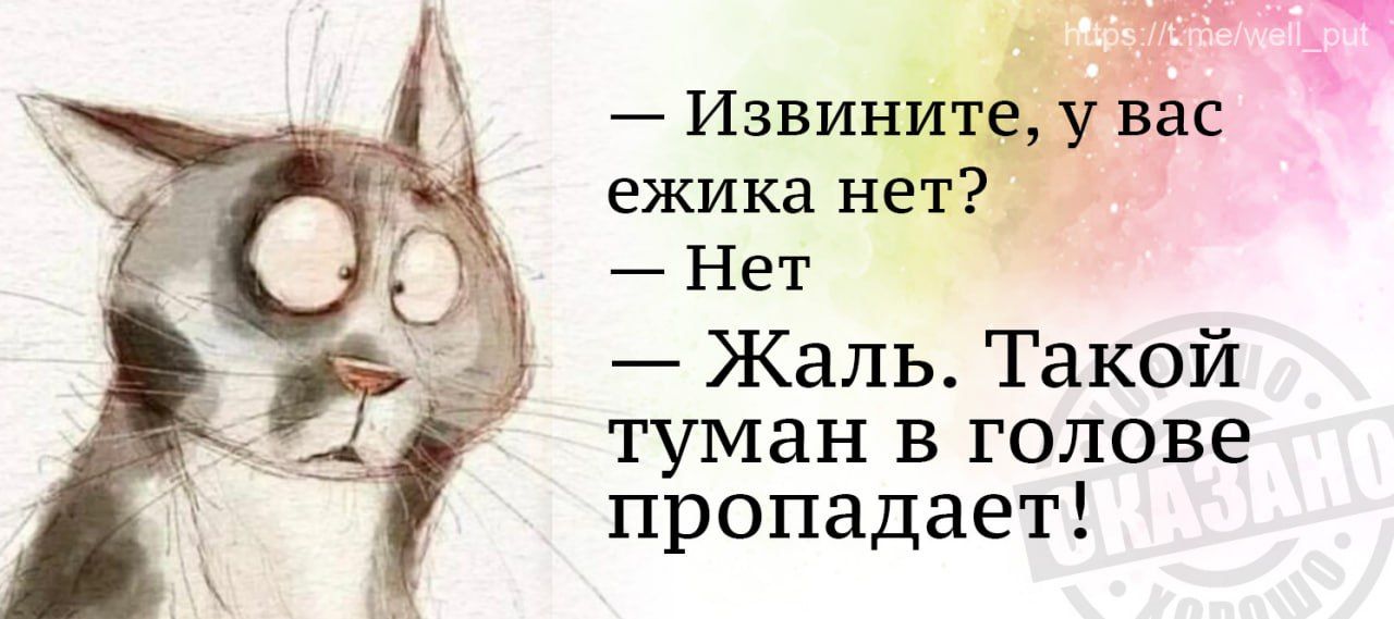 то _ Извифвас ежика не Нет Жаль Такой туман в голове пропадает