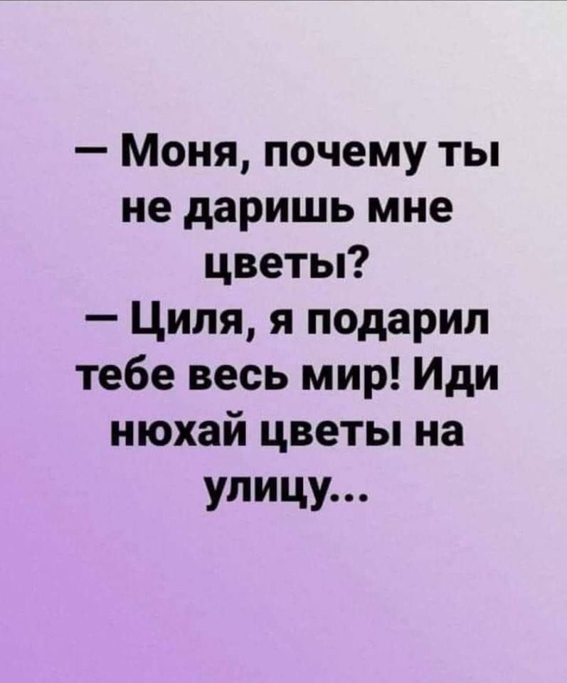 Моня почему ты не даришь мне цветы Циля я подарил тебе весь мир Иди нюхай цветы на улицу